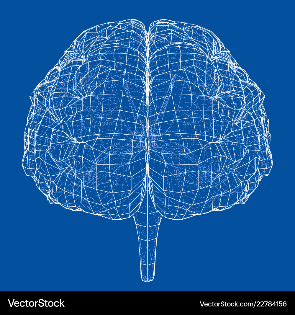 3d outline brain rendering of vector image