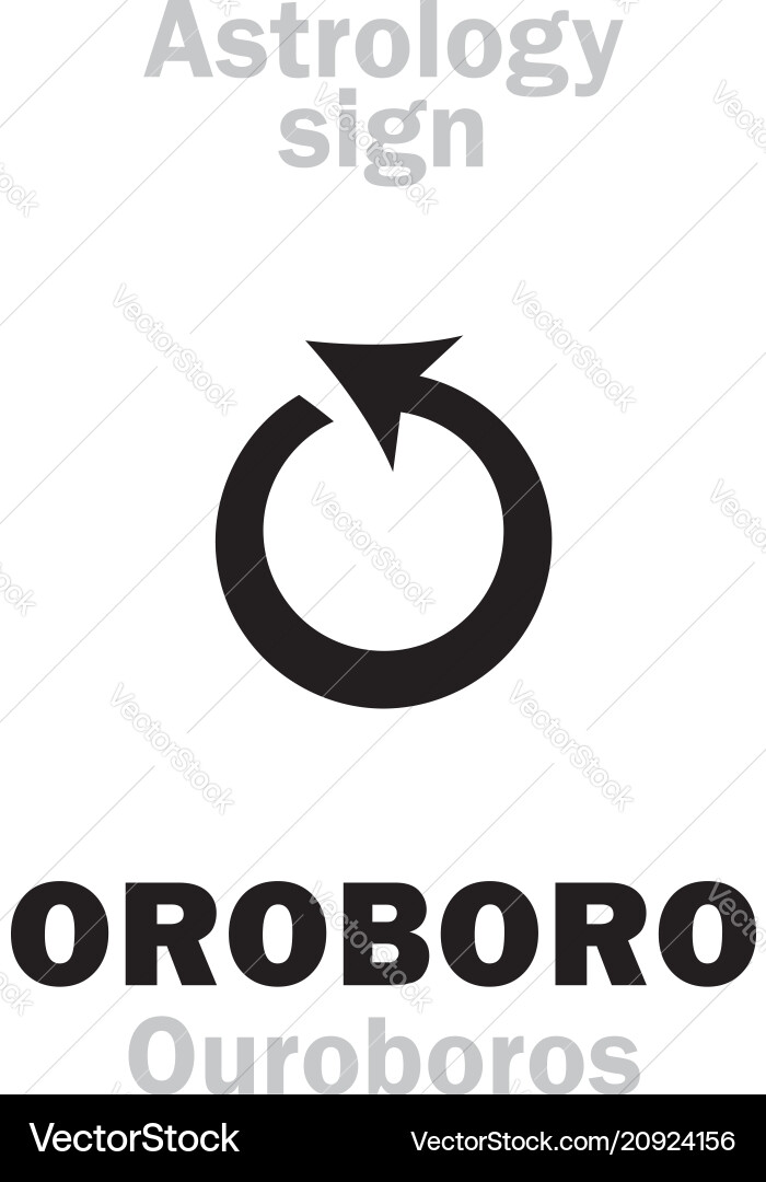 Astrology oroboro ouroboros Astrology oroboro ouroboros vector image