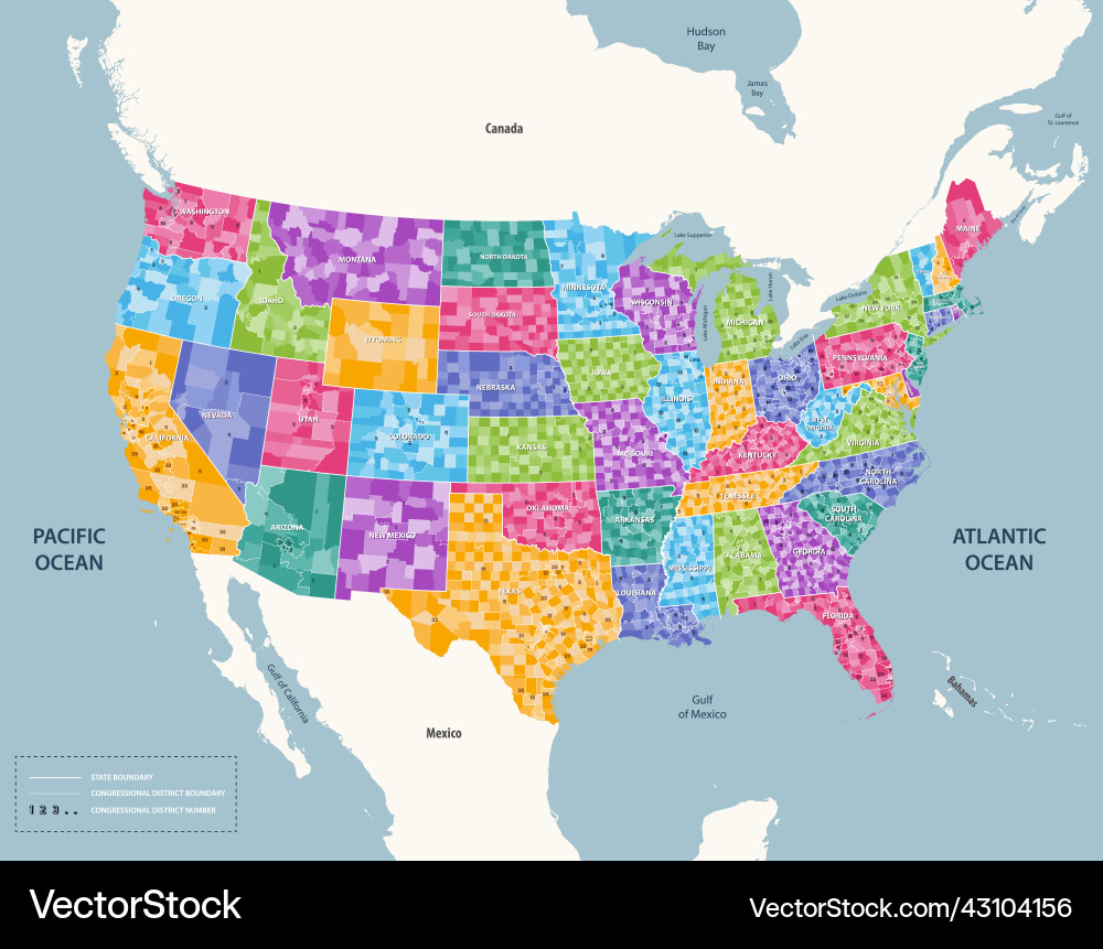 United States Congressional Map vector image