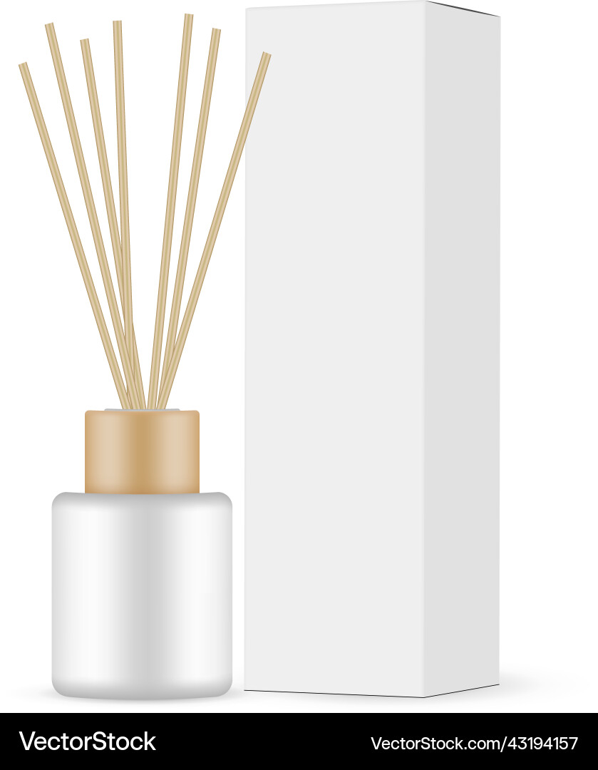 Diffuser bottle with aroma sticks and package box Diffuser bottle with aroma sticks and package box vector image