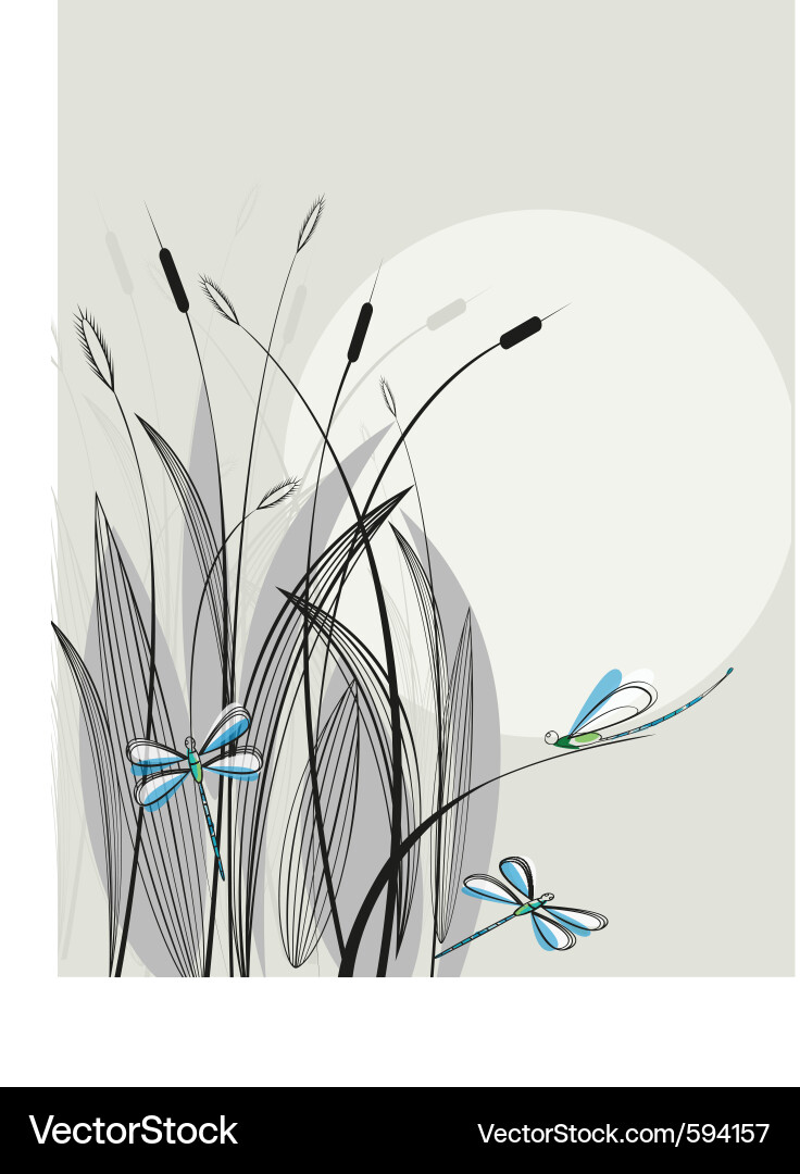 Elegant Dragonfly Meadow Vector Image