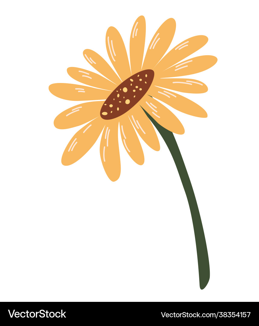 Sonnenblume süß Herbsthand gezogen Blume isoliert Sonnenblume süß Herbsthand gezogen Blume isoliert vektorbild