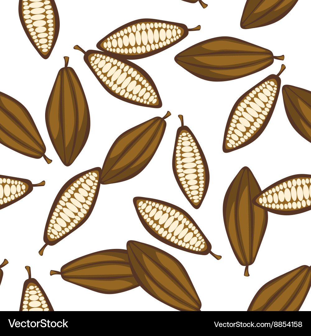 Cocoa beans seamless pattern chocolate background Vector Image