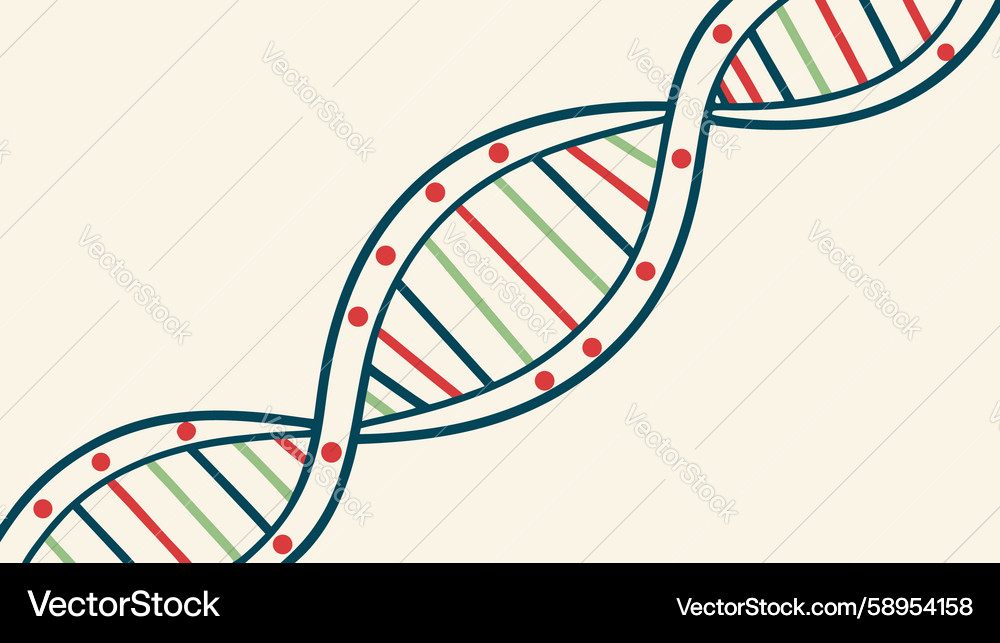 Dna helix with intricate network symbolizing Vector Image