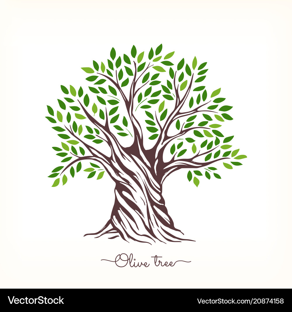 Hand-drawn olive sketch Hand-drawn olive sketch vector image