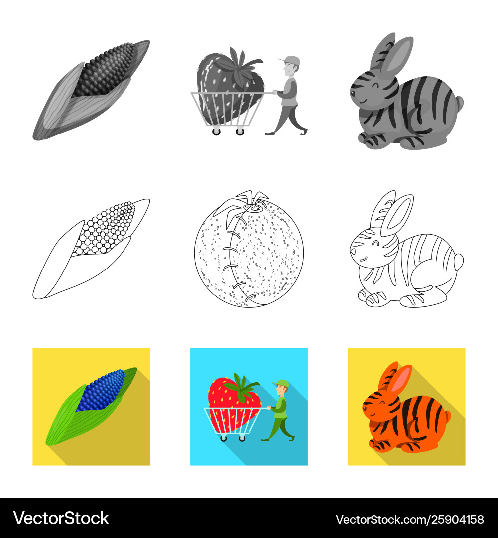 Isolated object test and synthetic icon set Isolated object test and synthetic icon set vector image