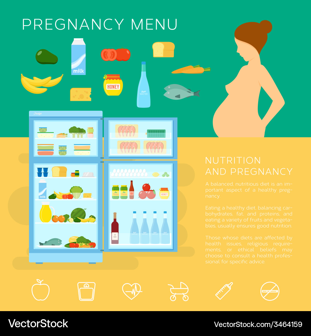 Pregnancy menu food flat style infographic Vector Image