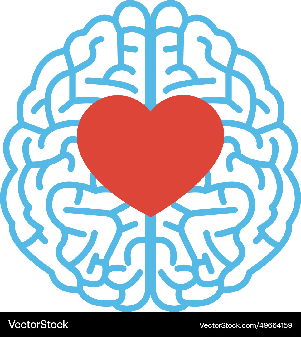 Top view of brain with heart shape inside Top view of brain with heart shape inside Vector Image