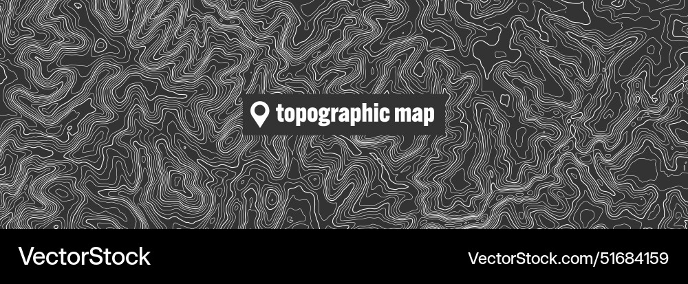 Topographic map with contour lines geographic Topographic map with contour lines geographic vector image