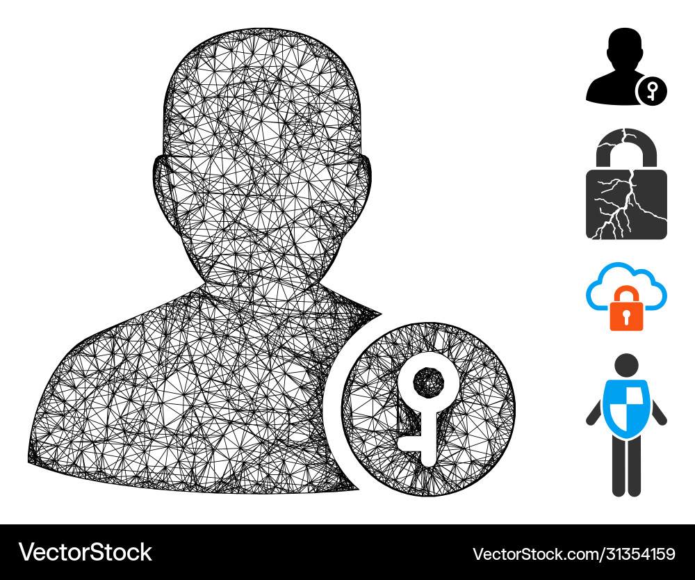 User key web mesh User key web mesh vector image
