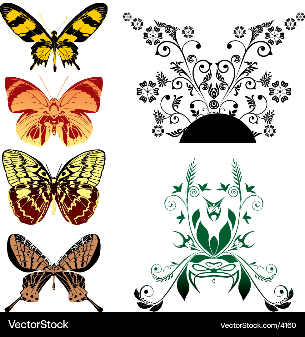 Floral Butterfly Motif Vector Image