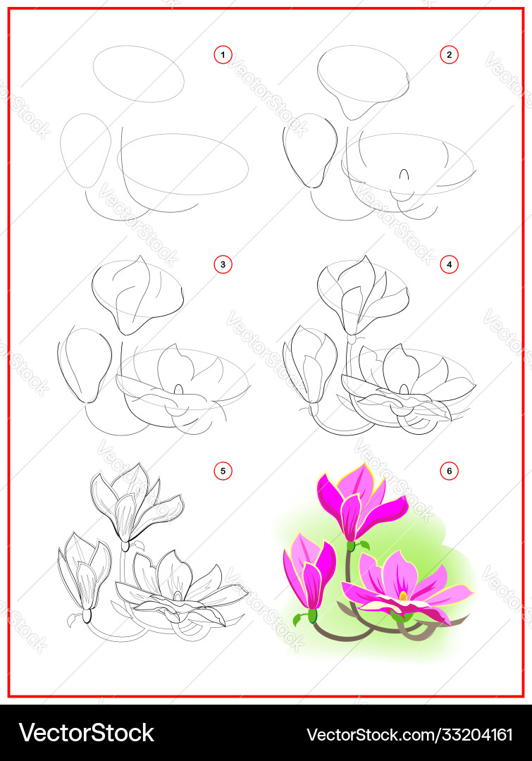 Page shows how to learn draw step Page shows how to learn draw step vector image