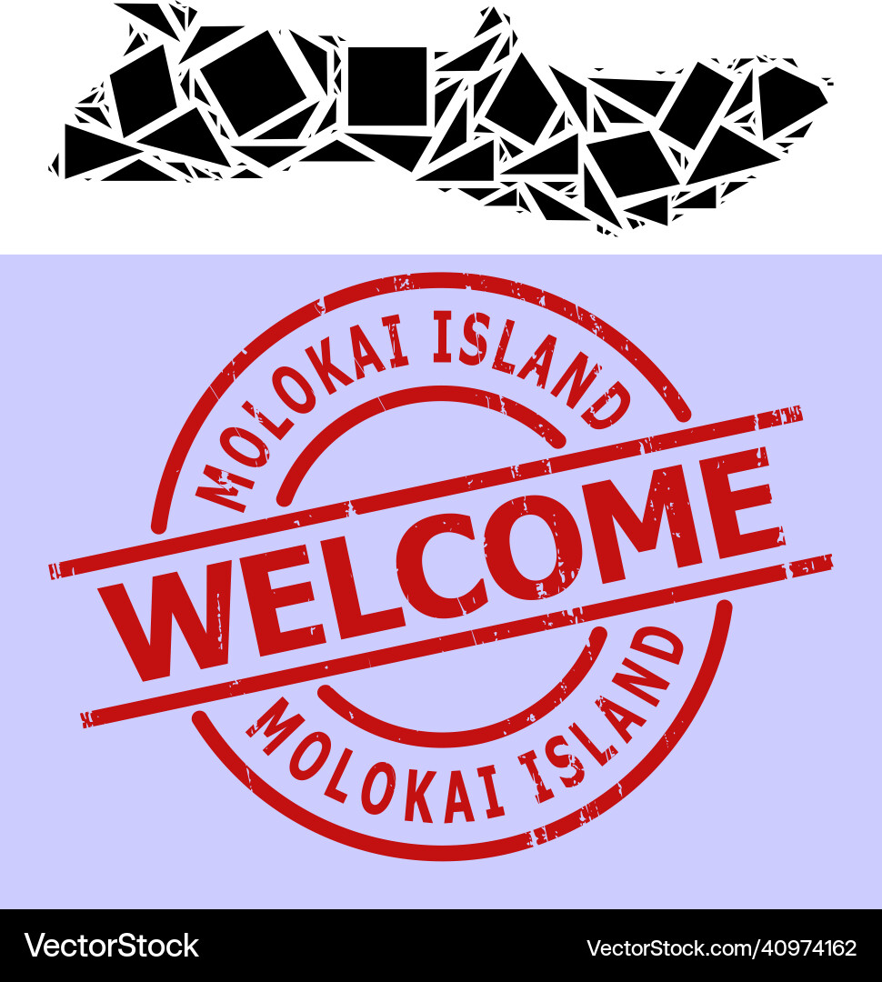 Simple geometric mosaic map of molokai island vector image