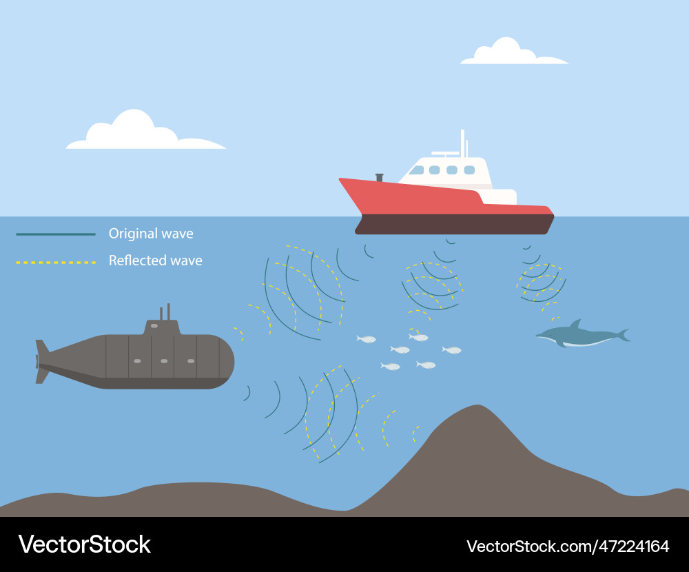 Bio sonar sound detect object locate echo radar Vector Image