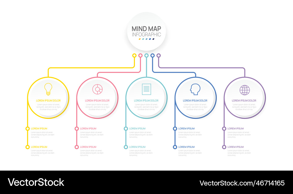 Infographic timeline mindmap element for business Vector Image