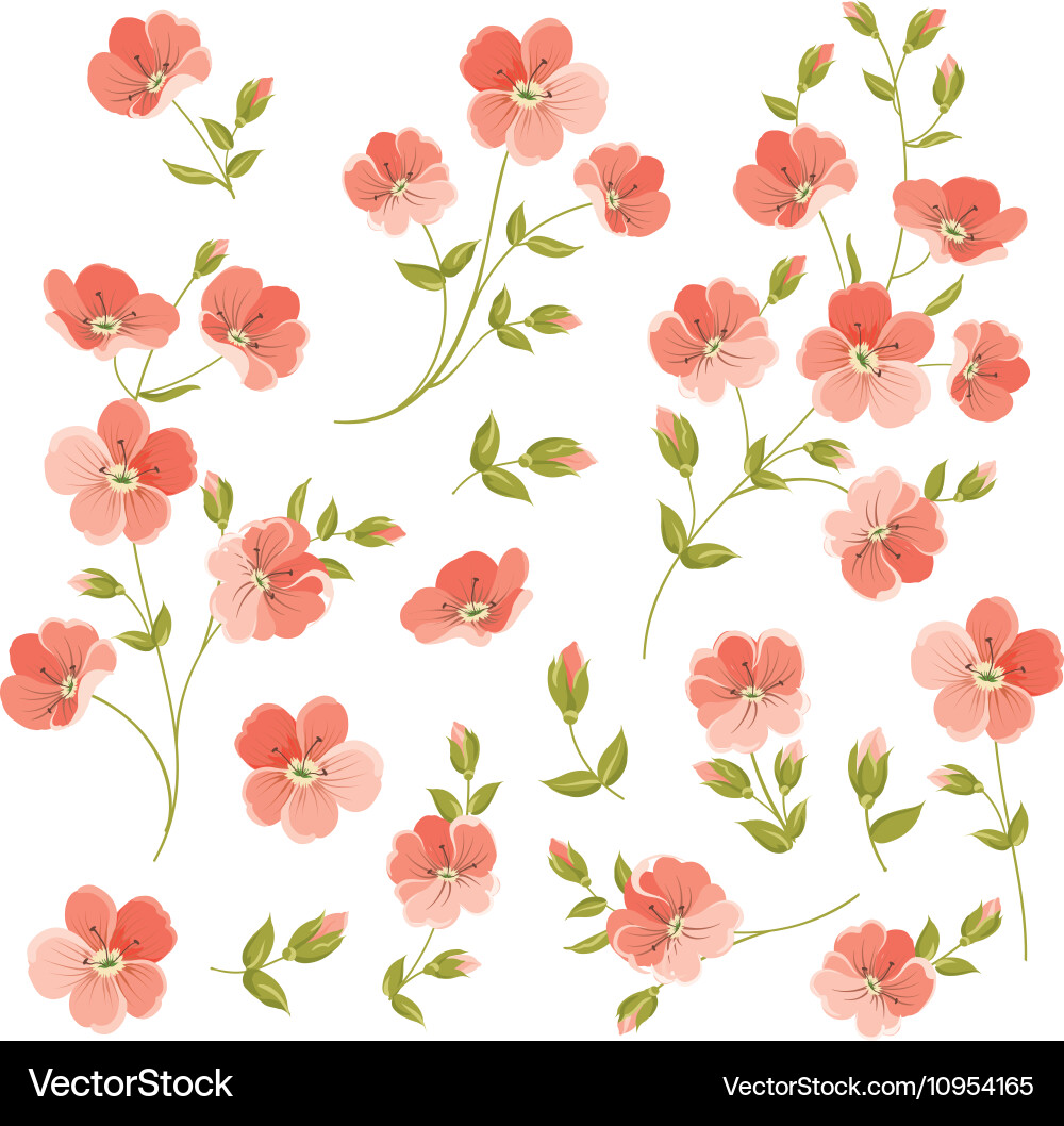 Set of linen flowers elements vector image