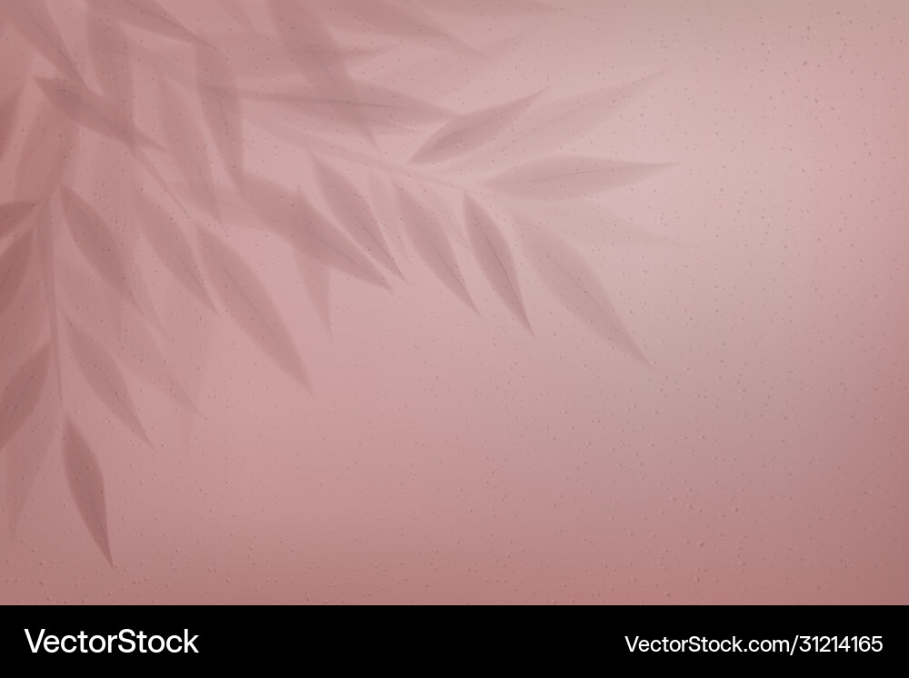 Tree branch with leaves shadow effect vector image