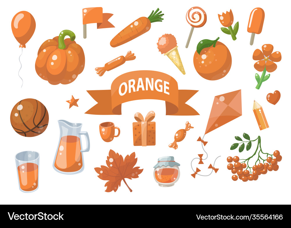 Big set orange objects isolated on white Vector Image