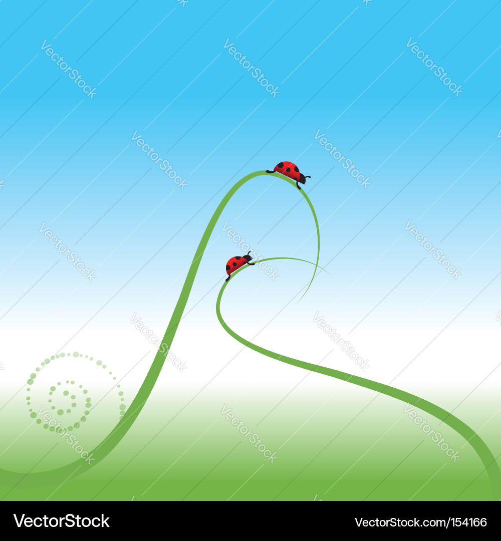 Ladybug spring background Vector Image