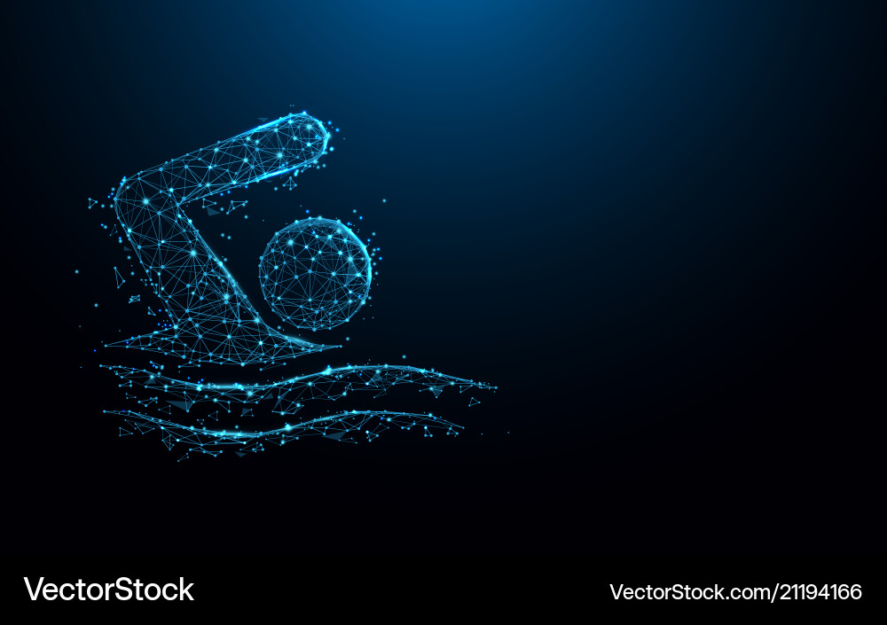 Swimming icon lines triangles and particle style vector image
