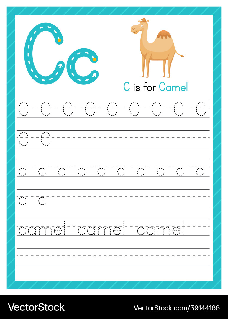 Trace letter c uppercase and lowercase alphabet Vector Image