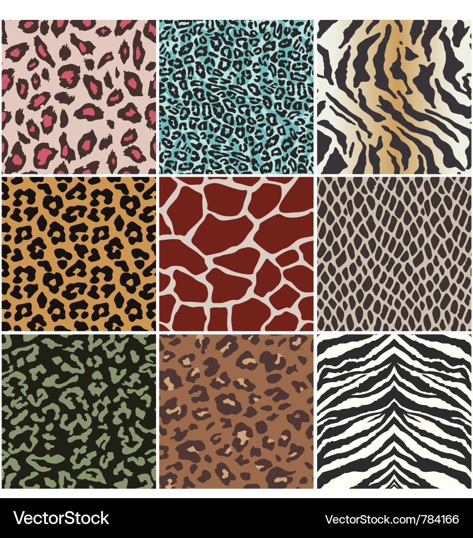 Zebra Pattern Seamless Texture vector image