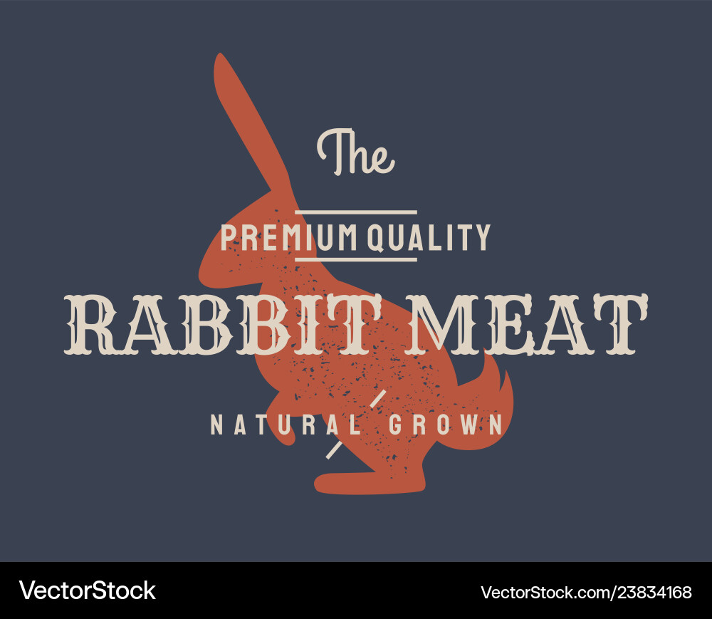 Rabbit vintage logo retro print poster Rabbit vintage logo retro print poster vector image