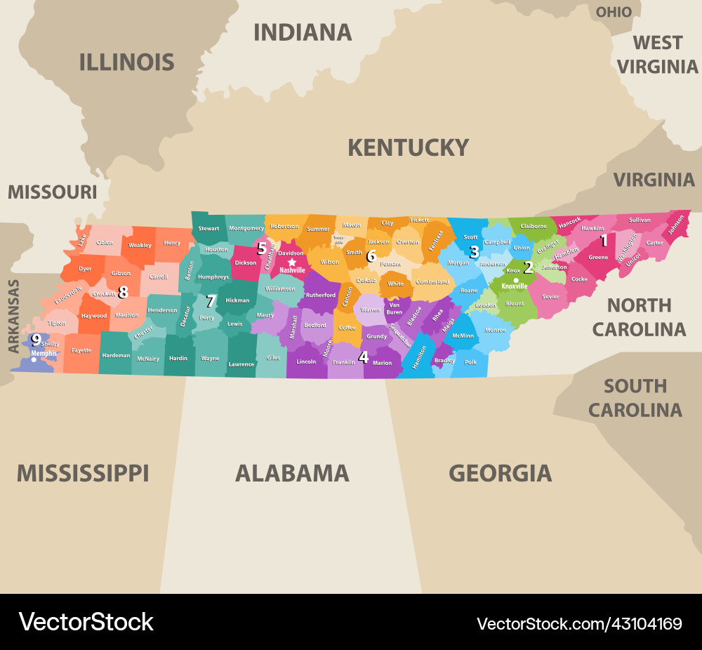 Tennessee congressional distrcits map vector image