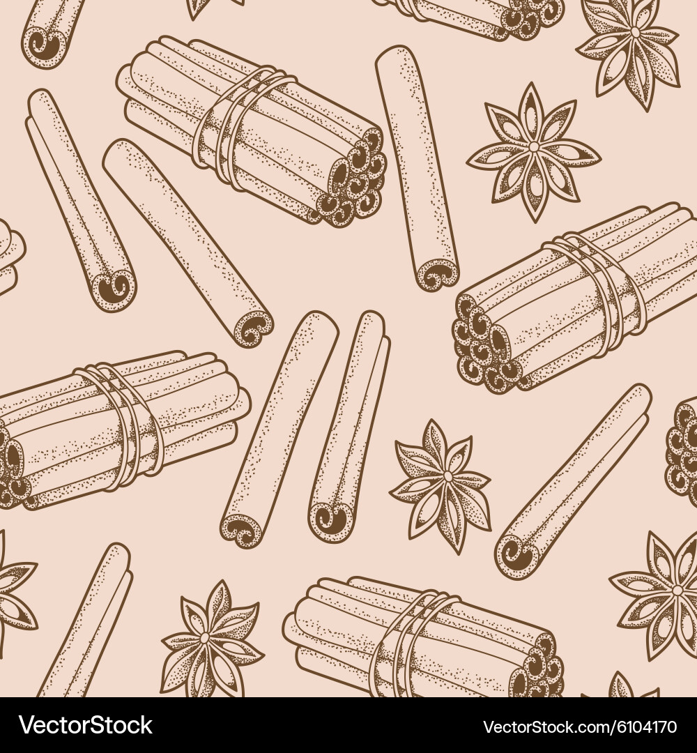 Cinnamon Spice Seamless Pattern vector image
