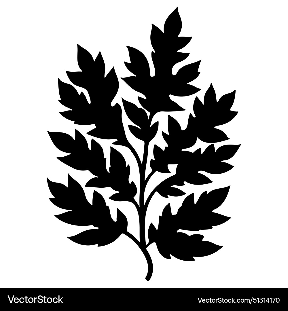 Eiche Blatt Pflanze Blätter Blumenskizze Eiche Blatt Pflanze Blätter Blumenskizze vektorbild