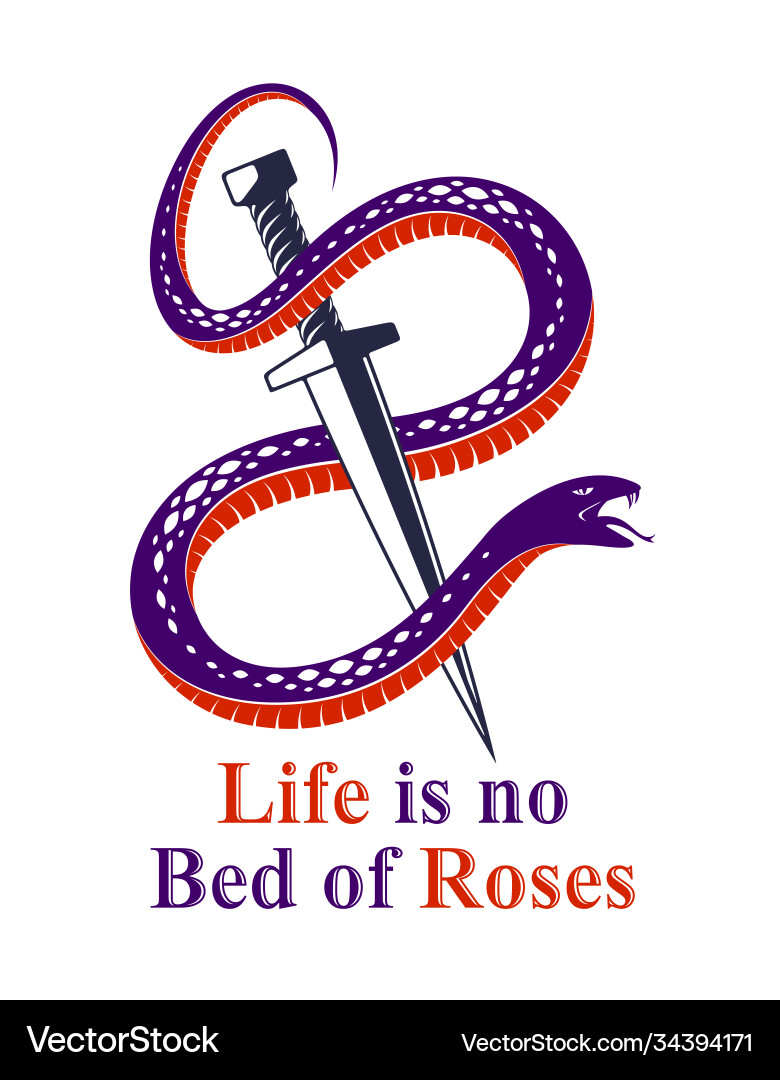 Dagger kills a snake defeated serpent wraps Dagger kills a snake defeated serpent wraps vector image