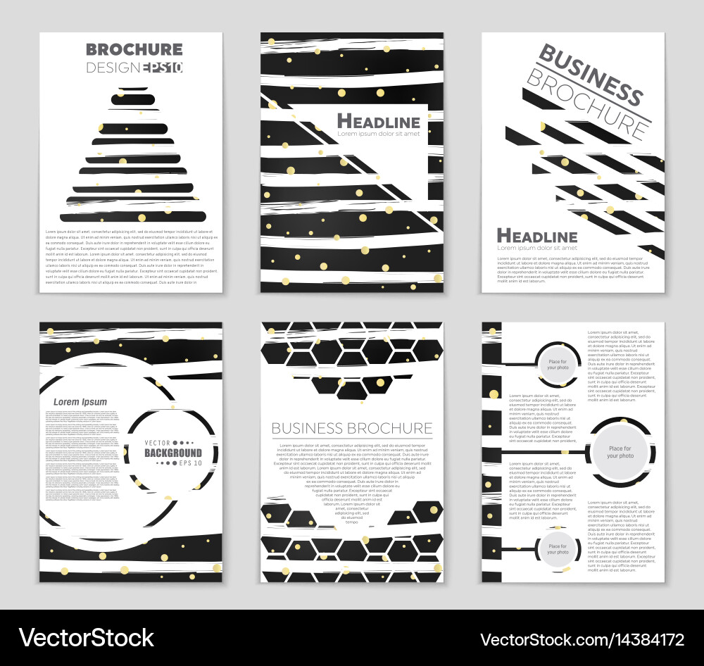 Abstract layout background set for art Vector Image