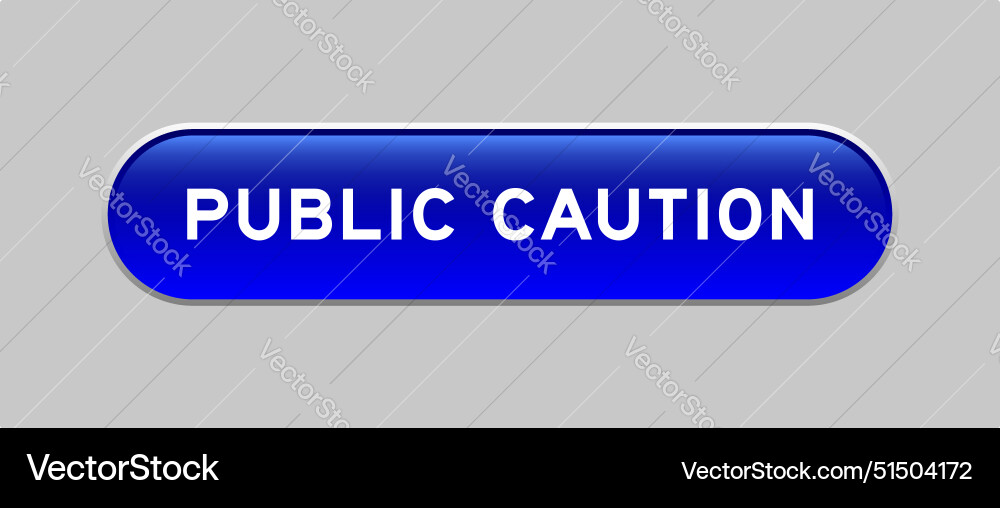 Blue color capsule shape button with word public Blue color capsule shape button with word public vector image