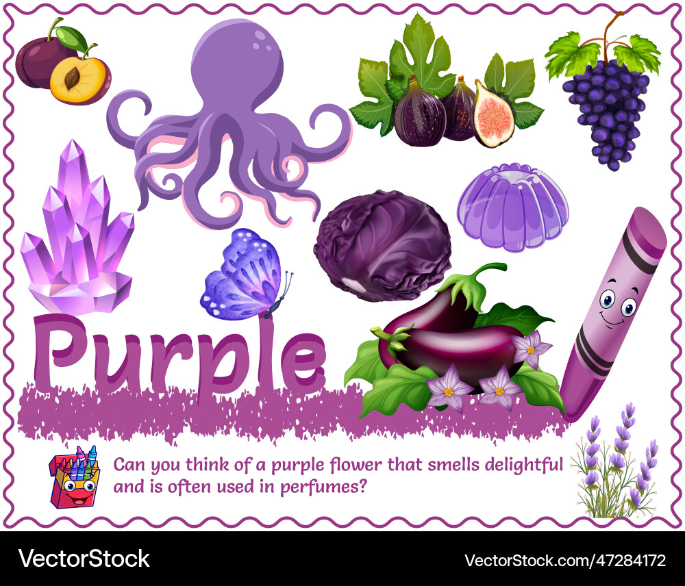 Purple color objects Purple color objects vector image