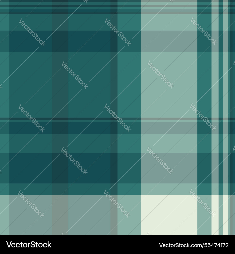Regular fabric pattern cute check texture tartan Vector Image