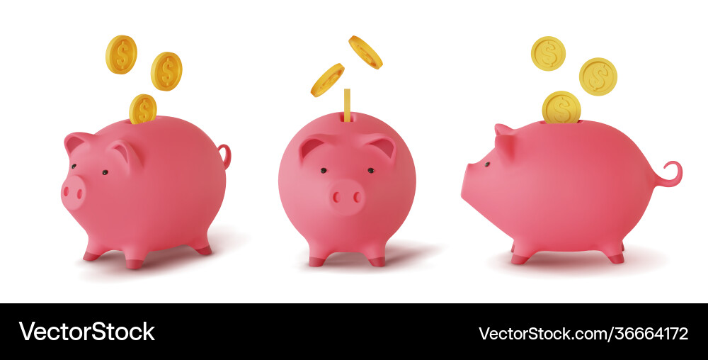 Set 3d realistic moneybox in form a pig Vector Image