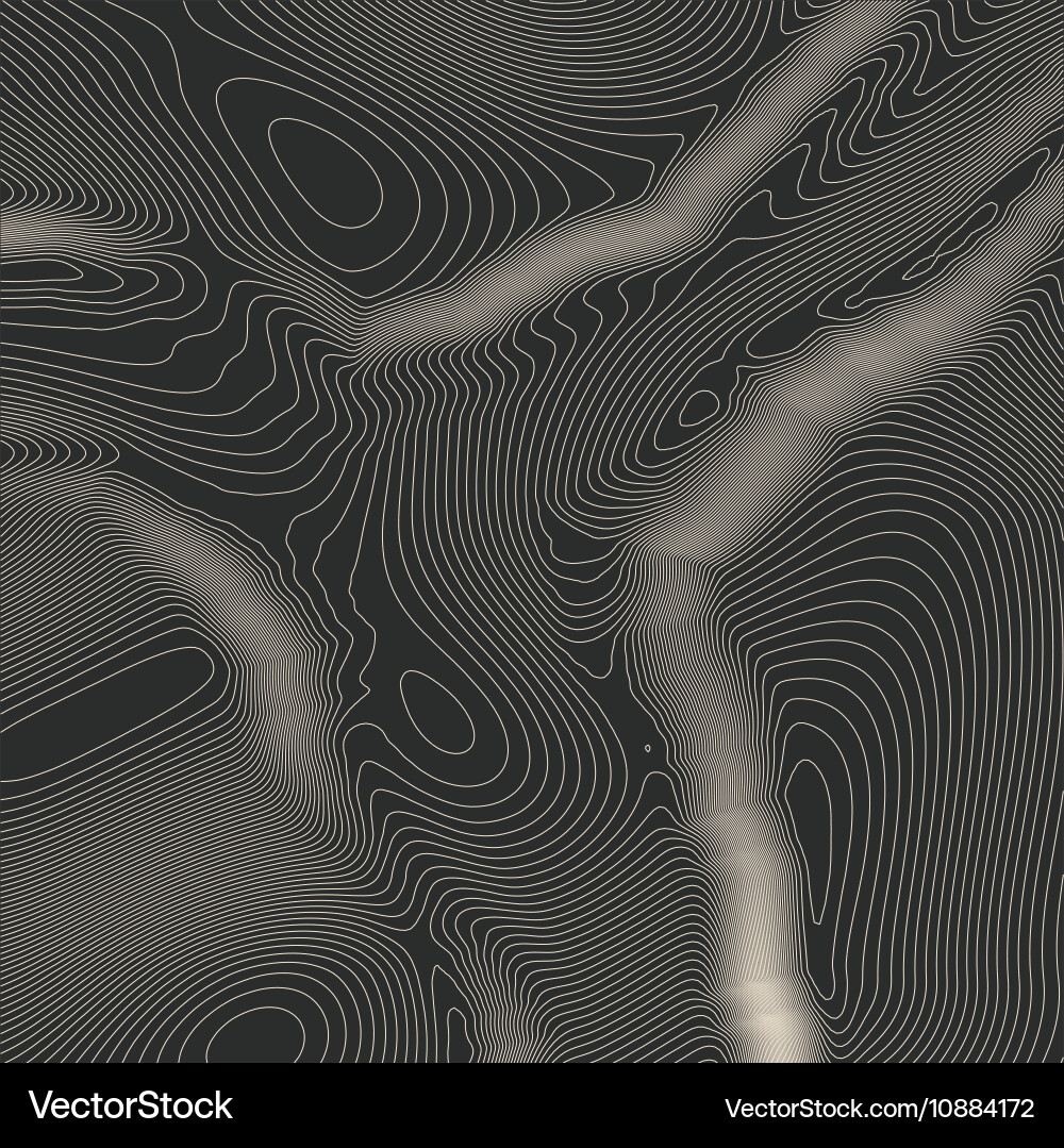 Topographic map background concept with space vector image