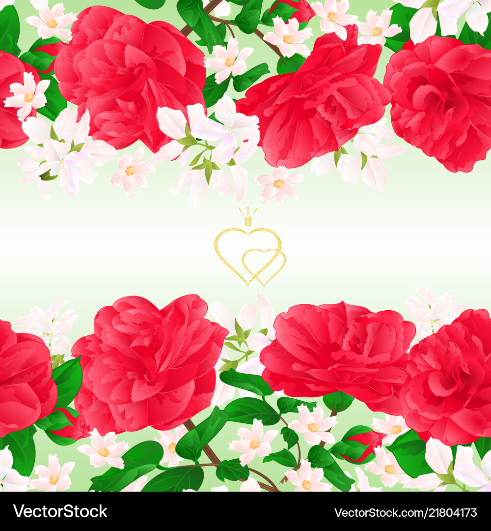 Camellia Floral Border Vector Image