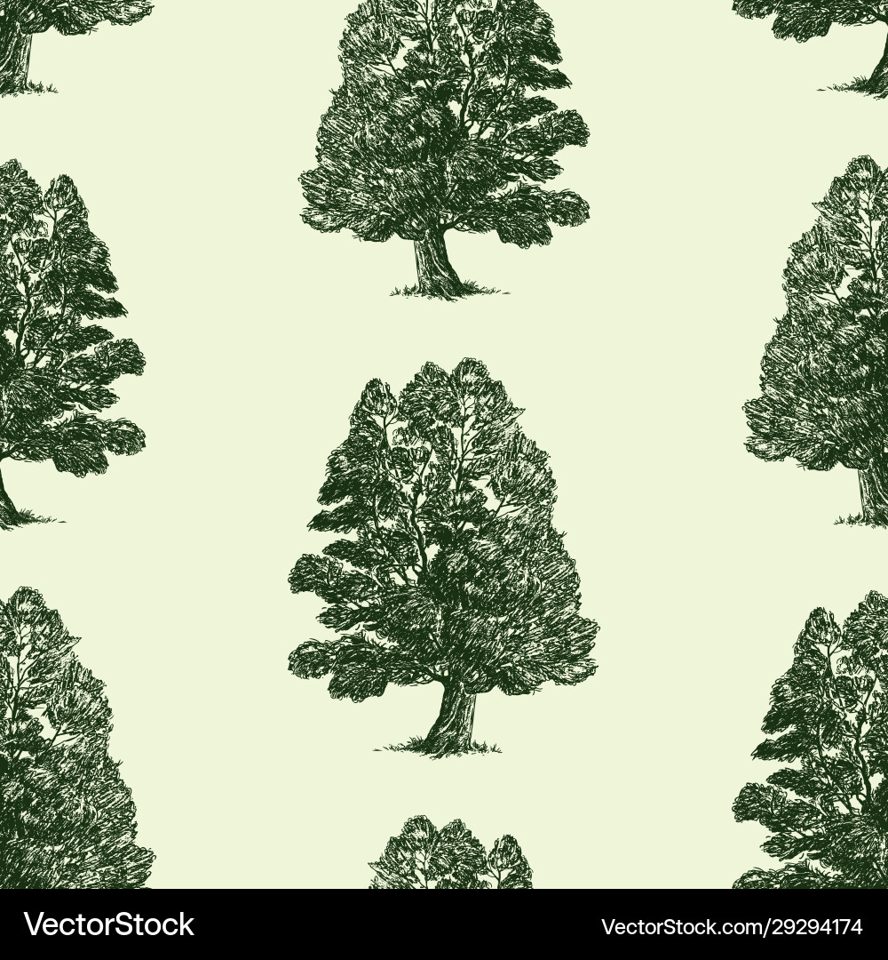 Seamless pattern sketches deciduous tree Vector Image