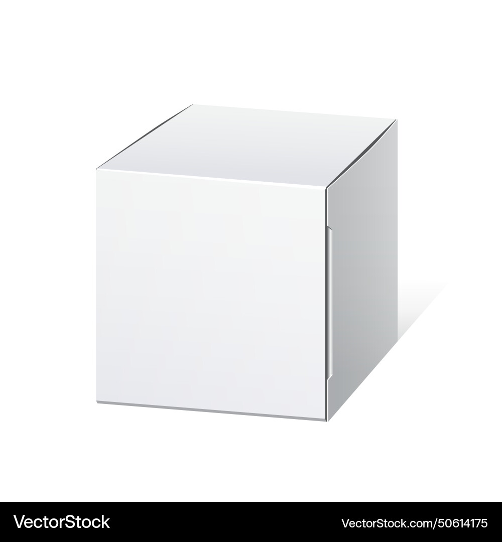 Realistic package cardboard box cube shape Vector Image