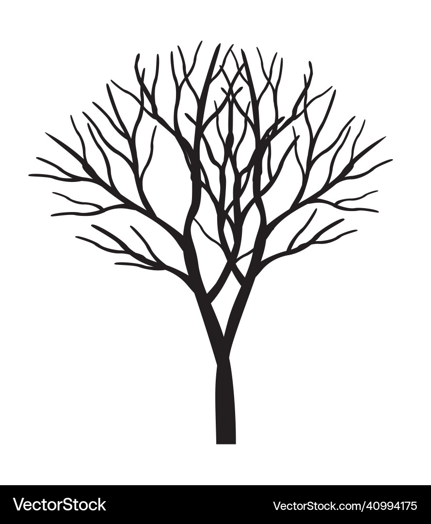 Shape of black tree without leaves outline vector image