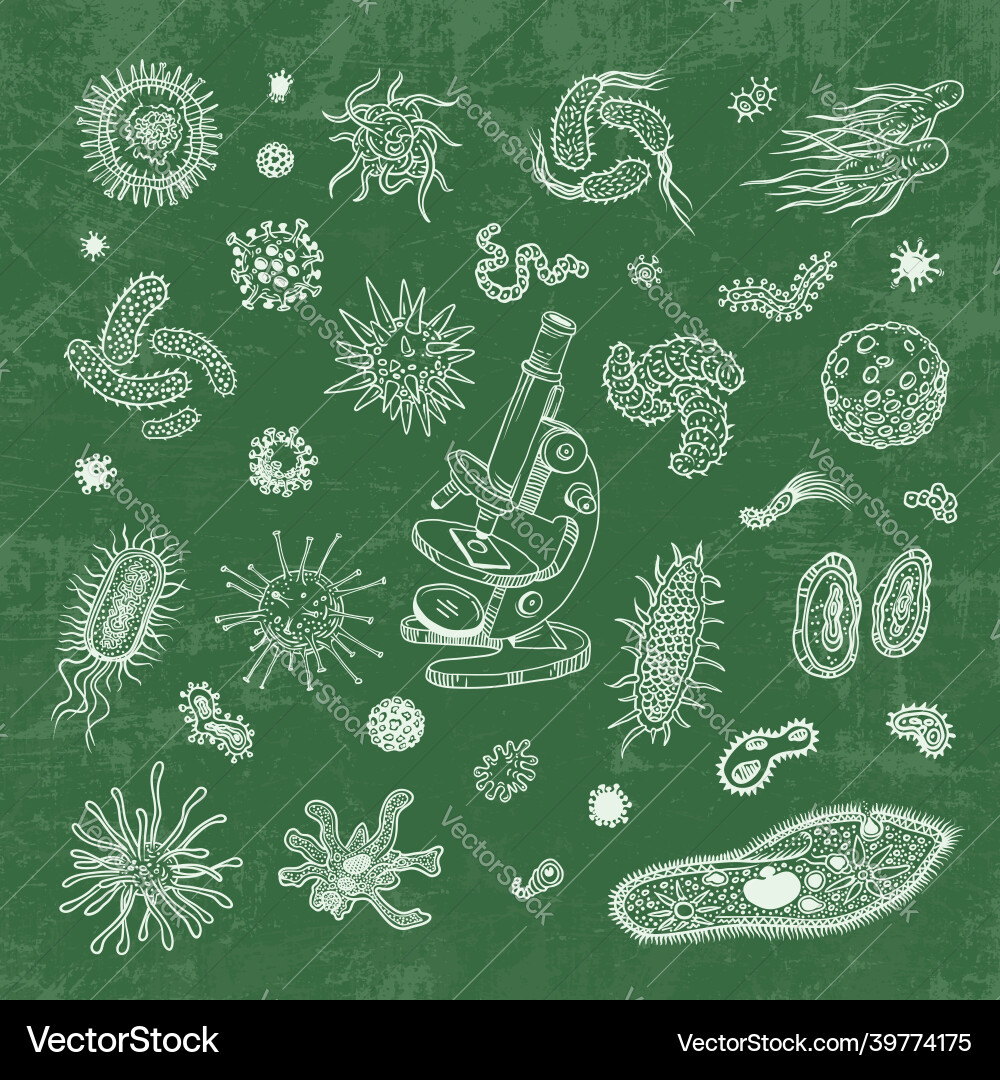Simple set of bacteria virus icons for web design vector image