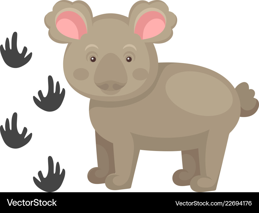 Adorable koala Bär und seine Fußabdrücke wild Adorable koala Bär und seine Fußabdrücke wild vektorbild