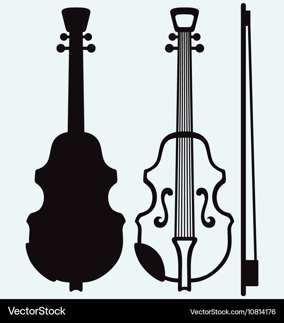 Musical String Instruments vector image