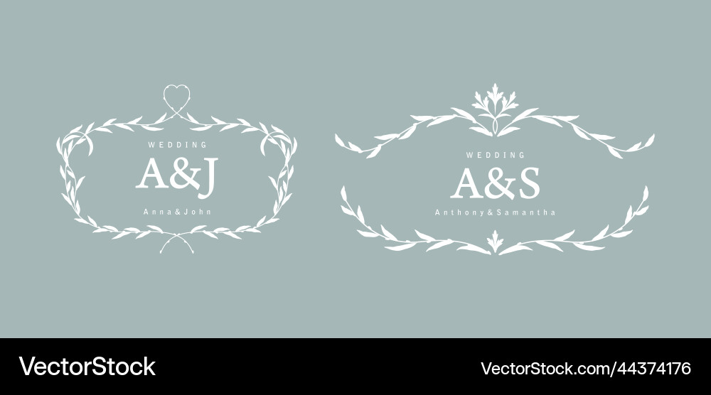Web Web vector image