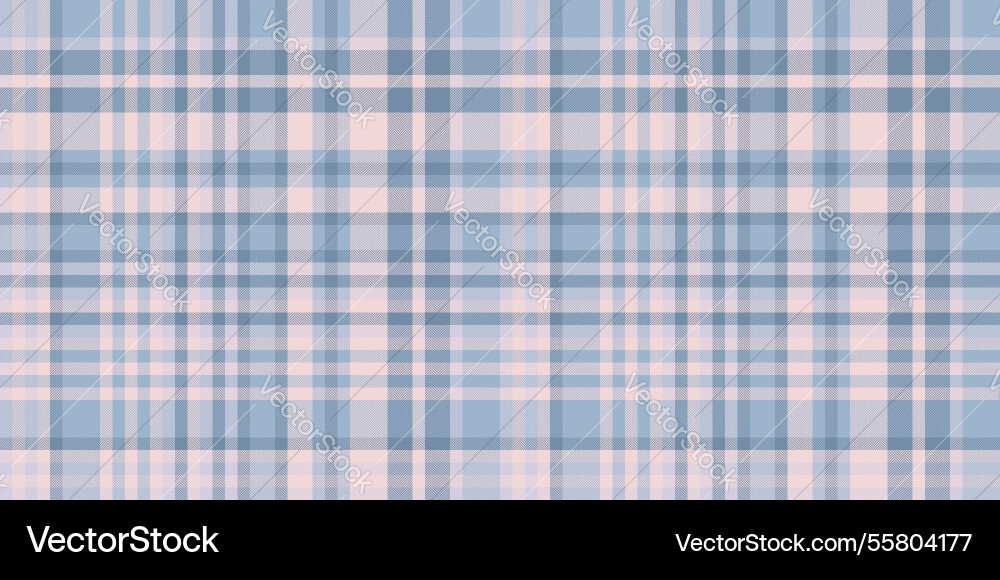 Classy pattern check down textile background vector image
