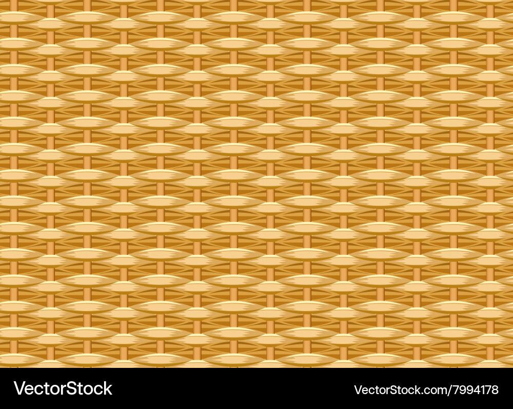 Wicker Straw Seamless Pattern Vector Image