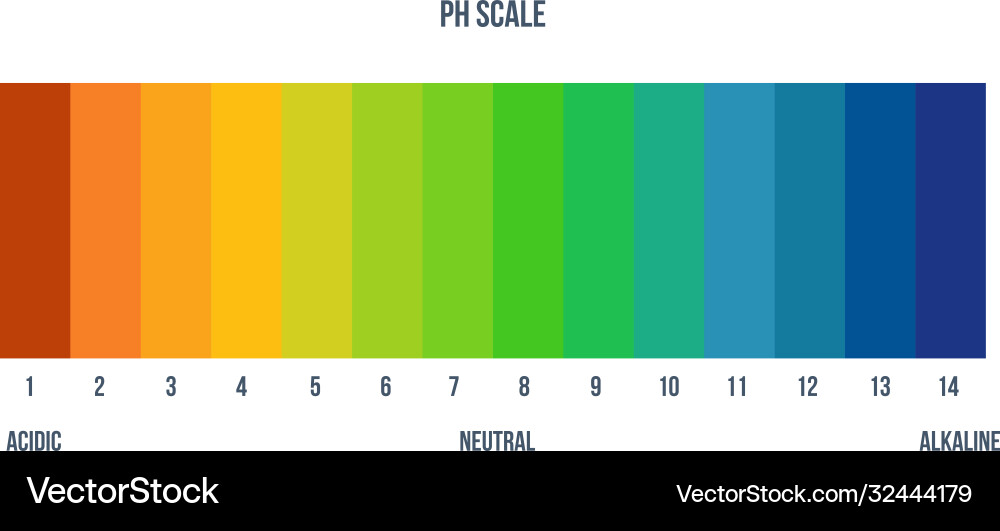 PH Color Scale for Lab Analysis vector image