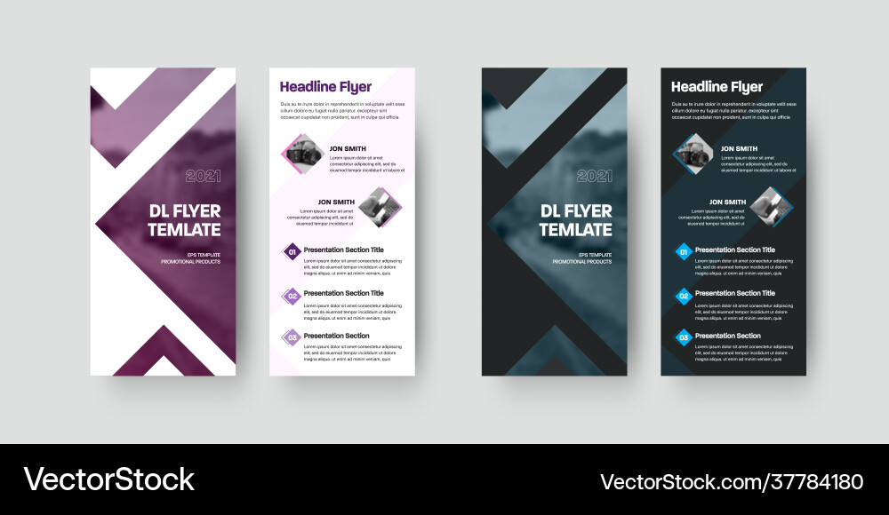 Dl flyer template with color design isolated vector image