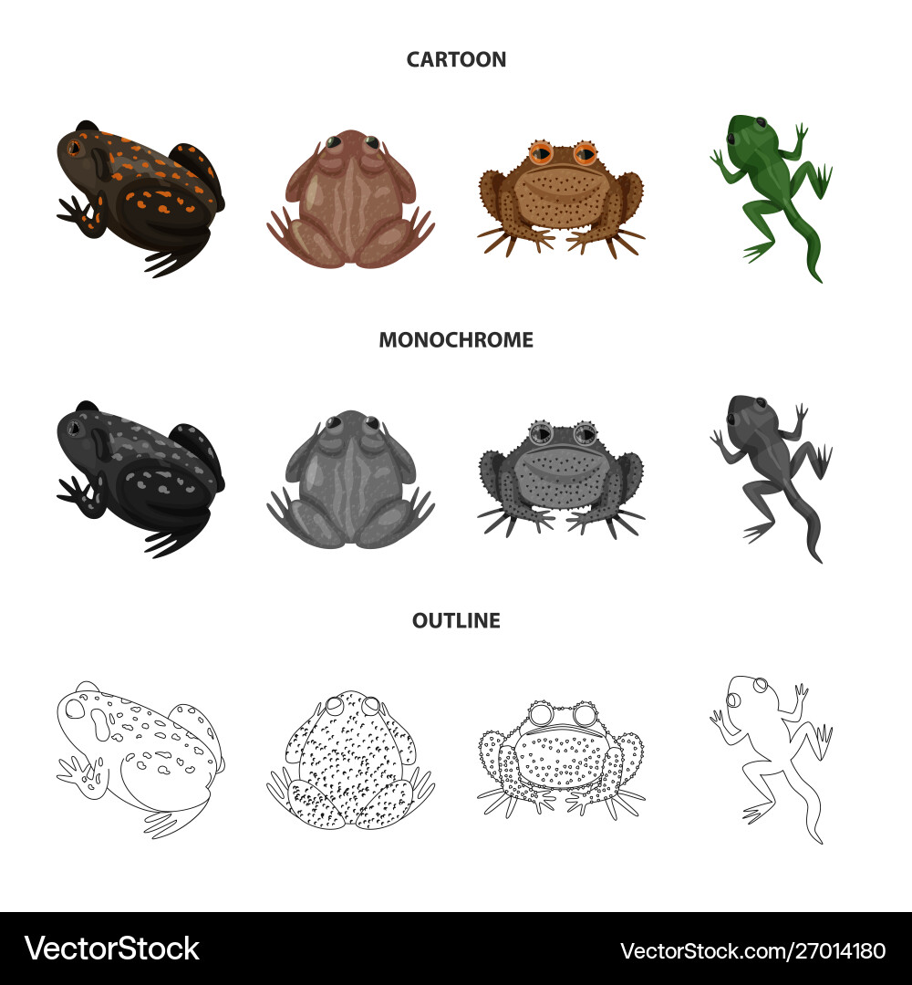 Isolated object wildlife and bog icon Vector Image